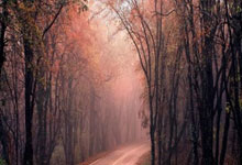 新赛季首次零封达成中超主场13连胜,海港即将迎来严峻考验.