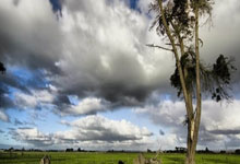 旺财28:NBA那些重重包夹之下的进球:科比飘逸一打三 老詹滞空一打四.