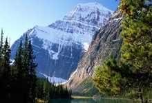 旺财28：从“不适合打篮球”到杜锋最信赖的“外援”，徐杰化泪水为荣光！.