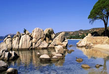 [棋牌]乐弈场第40场周赛 龚景荣耿晓东分夺积分实力榜桂冠.